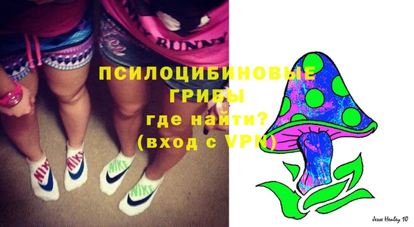 сатива Навашино