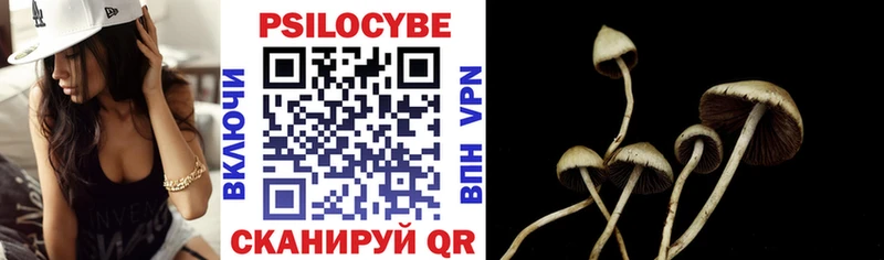цены наркотик  Нестеровская  Галлюциногенные грибы Psilocybe 